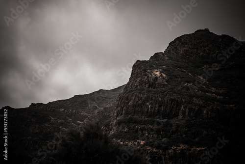 Mountain range of Laurissilva Forest covered in fog and a dramatic overcast sky in Madeira island, Portugal. Landscape photography in moody tones