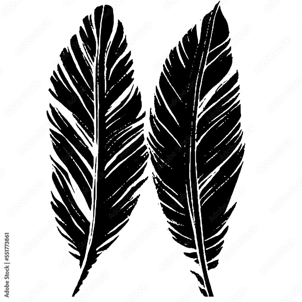 Fototapeta premium Two feathers writing together