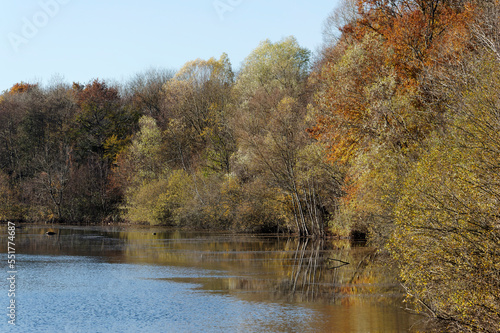 Wallpaper Mural Clarette pond in the Seine-et-Marne country Torontodigital.ca