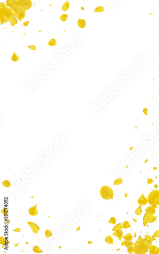 Mustard Petal Flying Vector White Background. Fly