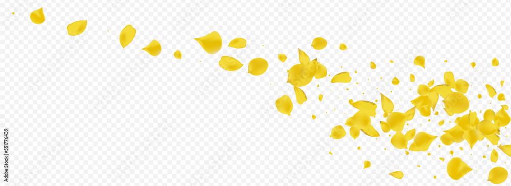 Yellow Sakura Fall Vector Panoramic Transparent Yellow Sakura Fall Vector Panoramic Transparent