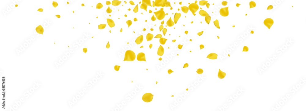 Mustard Floral Falling Vector Panoramic White Mustard Floral Falling Vector Panoramic White