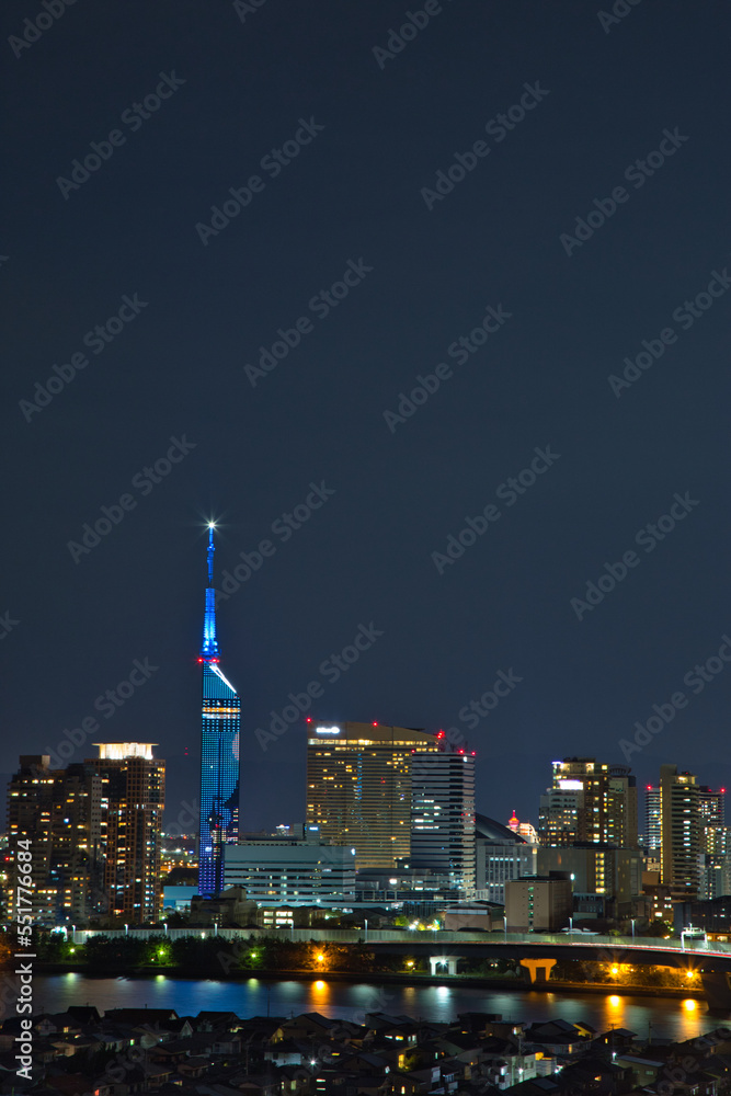 Fototapeta premium 大山祇神社跡公園の展望台から望む福岡市の夜景 ( Nightscape of Fukuoka city, Fukuoka, Japan )