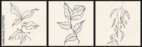 A set of three abstract minimalist aesthetic floral illustrations. Black silhouettes of plants on a light background. Modern monochrome vector posters for social media, tattoo design in vintage style.