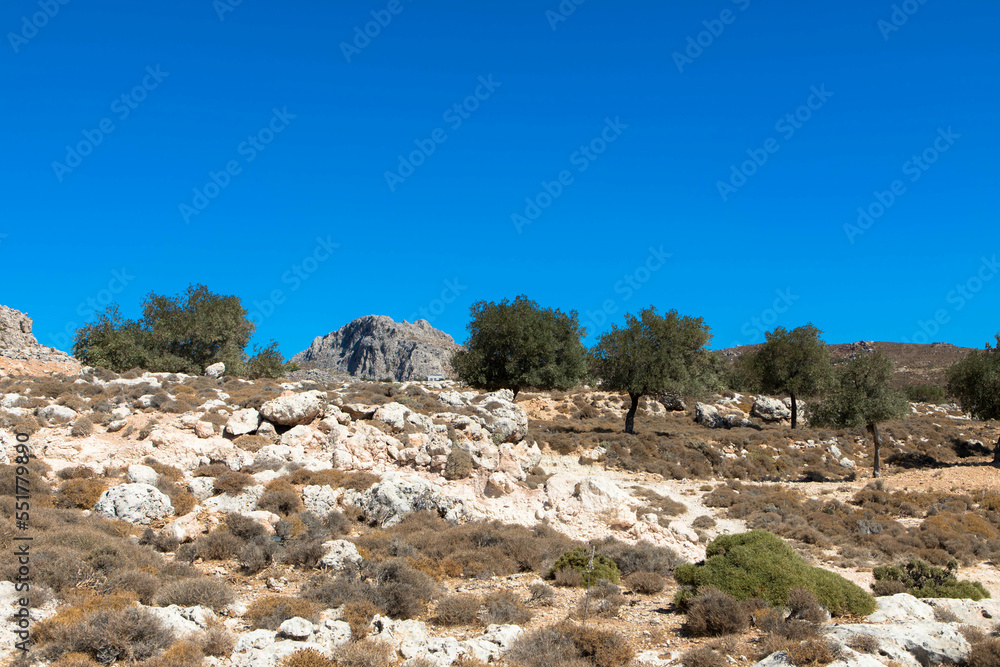 Panoramic view of typical greek mediterranean landscape with hill, olive trees and bushes. Tourism and vacations concept. Rhodos Island, Greece.