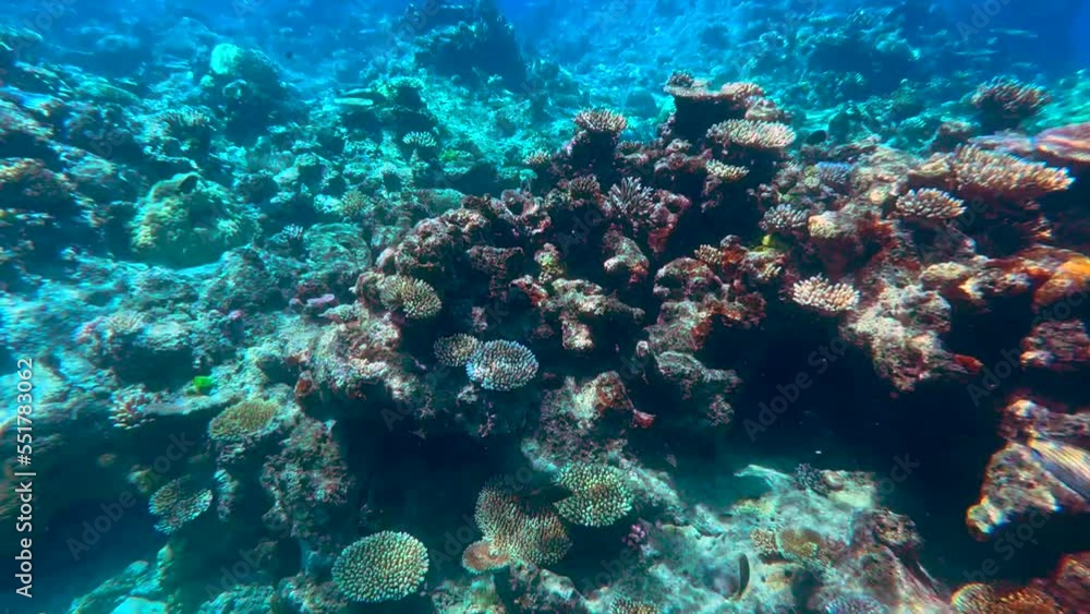 Underwater 4K HDR of the Great Barrier Reef in Queensland, Australia in December 2022 Underwater 4K HDR of the Great Barrier Reef in Queensland, Australia in December 2022