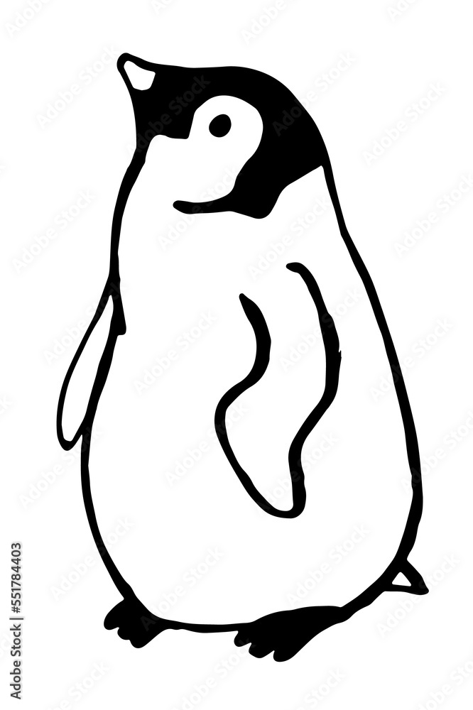 Fototapeta premium penguin