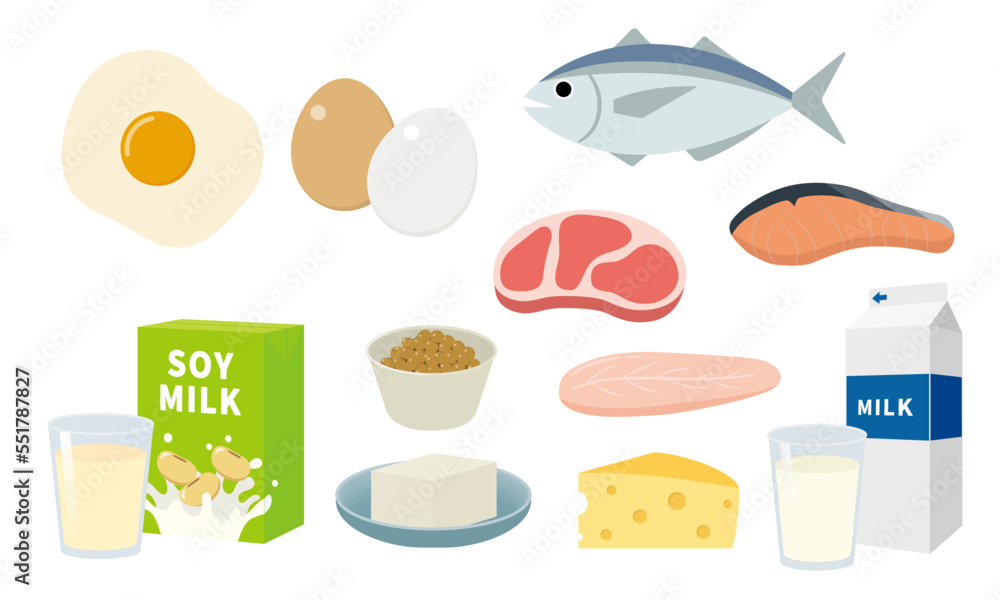 Φωτογραφία たんぱく質を含む食べ物のイラストセット_High protein food