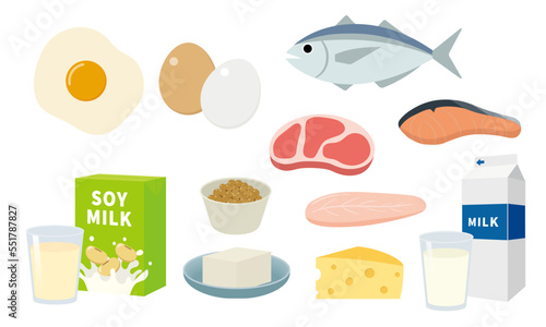 たんぱく質を含む食べ物のイラストセット_High protein food