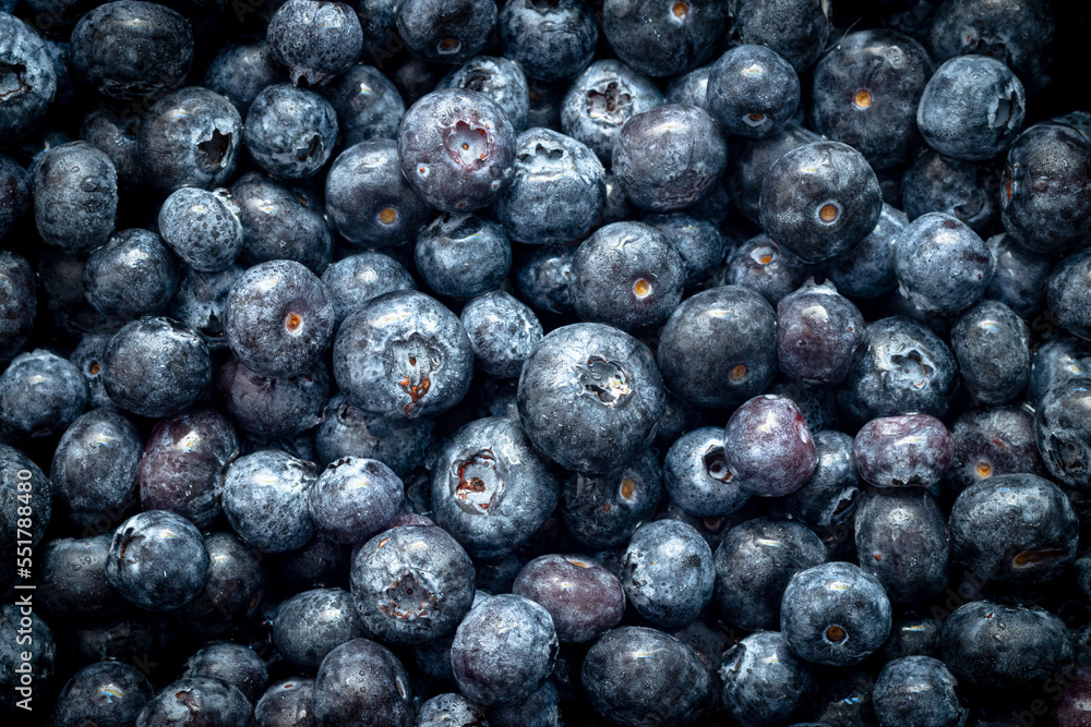 Fresh blueberries. Background from beautiful ripe berries. Fresh blueberries. Background from beautiful ripe berries.