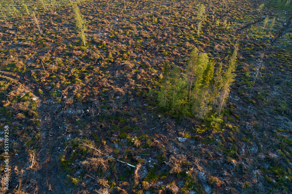 An aerial of a mineralized clear-cut area with some standing trees in summery Northern Finland