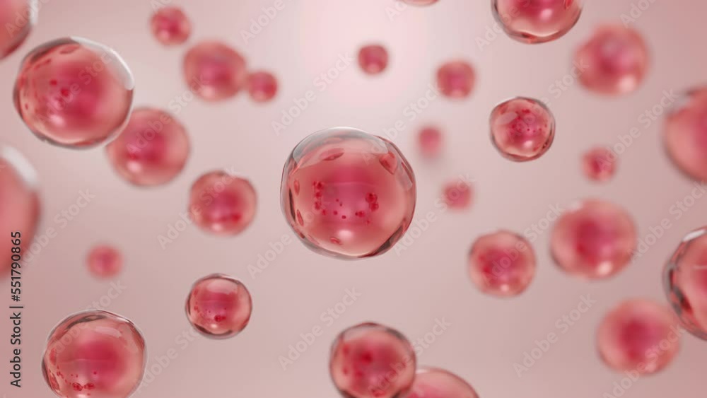 Red bubble of blood or stem cell floating on soft pink background. Molecules of Collagen and Beauty product concept. 3D rendering. Red bubble of blood or stem cell floating on soft pink background. Molecules of Collagen and Beauty product concept. 3D rendering.