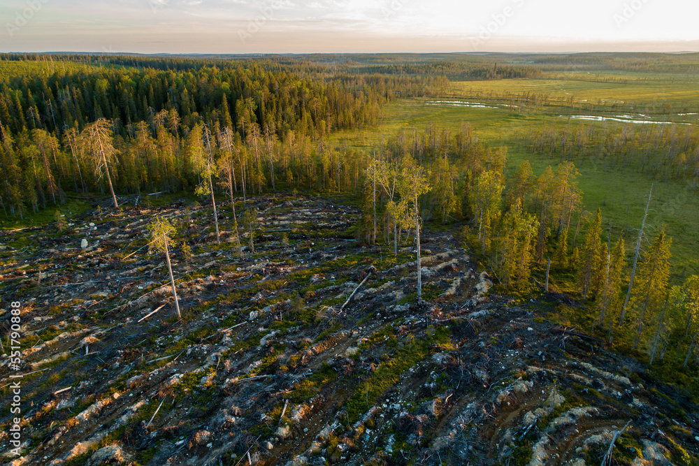 Naklejka premium An aerial of clear-cut area and bog in Northern Finland during a summer evening 