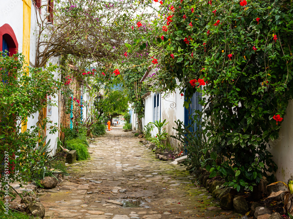 Green climbing plants, red flowers, overgrow across a cobbled brightly painted side-street, in the Portuguese colonial old-town of Paraty on Brazil's Costa Verde.