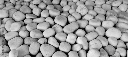 Beach pebbles close-up. White stones background. White color circle stone background.