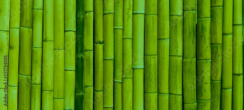 Fototapeta Naklejka Na Ścianę i Meble -  bamboo wall texture. Close up image of an old bamboo wall. decorative wall panel, yellow or green bamboo stems in a vertical pattern. Group of bamboo trees. scripts carved into a bamboo tree.