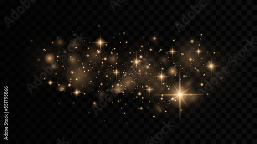 Luminous magic dust particles. Christmas concept. The dust sparks and golden stars shine with special light on a black transparent background.