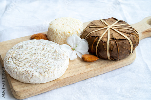 Taste of France, small round cheese Tome de Provence, matured small goat cheese and mountains cheese banon wrapped in chestnut leaves, Alpes-de-Haute-Provence, France