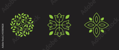 Vector logo design template and emblem  with petals and lines - luxury beauty spa concept - green badge for yoga studios, holistic medicine centers, natural and organic food products and packaging