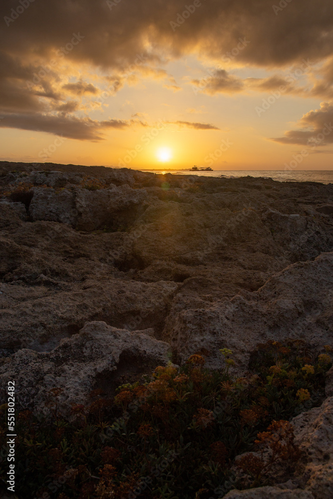 Sunrise on the rocky coast with flowers, Cyprus

