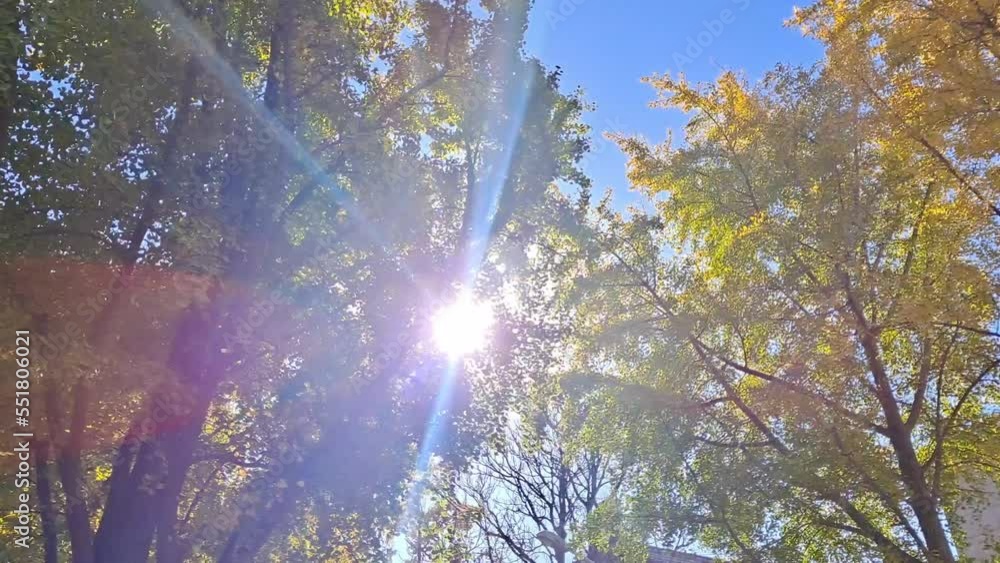 Walking in a forest park in Autumn with colorful sunlight, Beijing, China. Walking in a forest park in Autumn with colorful sunlight, Beijing, China.