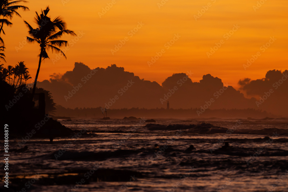 A closeup shot of silhouettes of palm trees near the sea at sunset