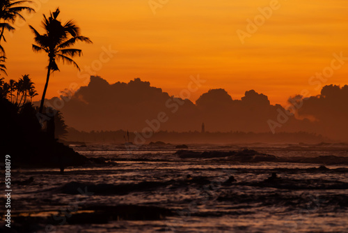 A closeup shot of silhouettes of palm trees near the sea at sunset © Nastassia
