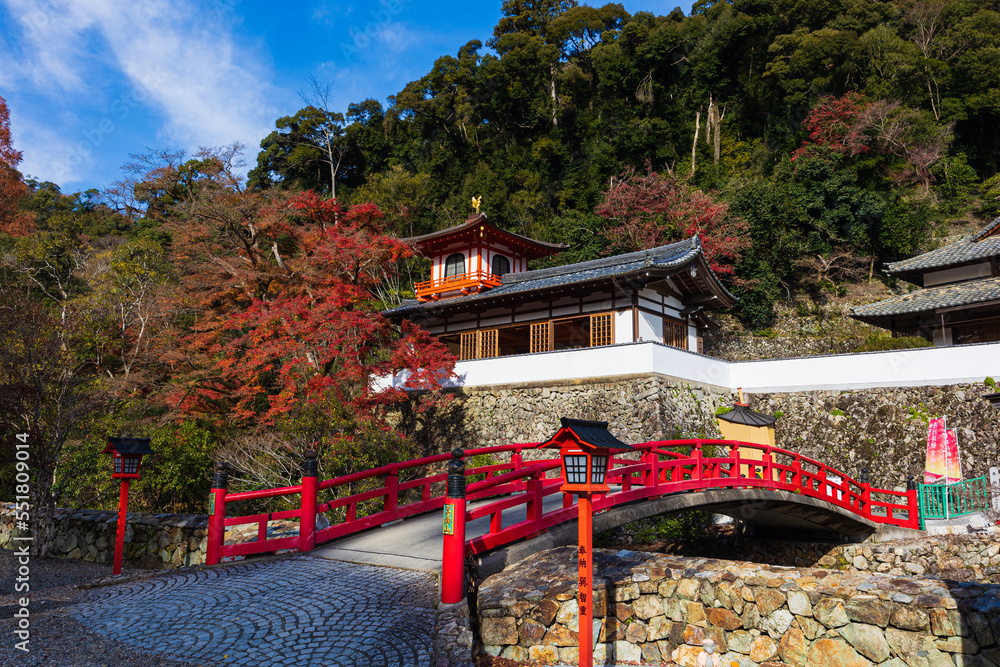 Obraz premium 紅葉