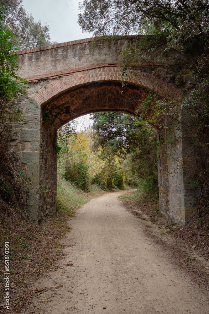 Obraz premium Puente por el que cruzamos para seguir en camino de tierra del sendero de la montaña para ver las cascadas de la verde montaña en un día de invierno.