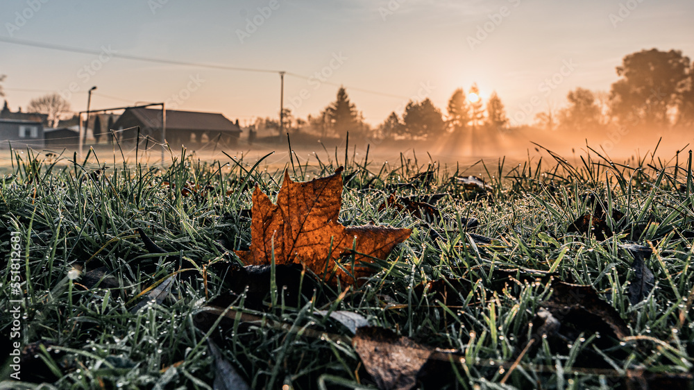 boisko do piłki nożnej na wsi, wczesny jesienny poranek ze wschodzącym słońcem i mgłą, Śląsk w Polsce - obrazy, fototapety, plakaty 