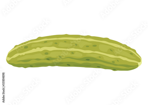 Homemade pickled cucumber. Clip-art of marinated food for packaging, label, menu, signboard or showcase. Fermented veggies, crunch gherkin with salt. Healthy vegetarian food