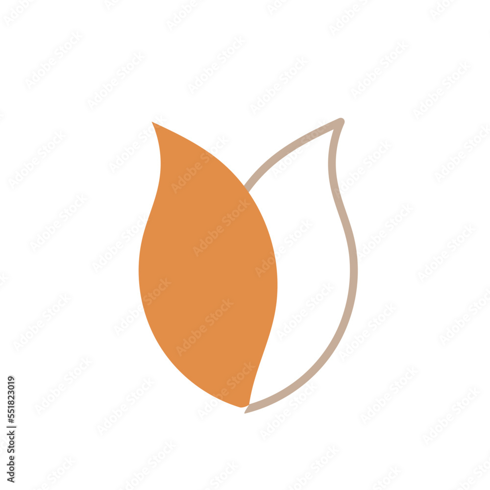 flower botanical hand drawn vector element flower botanical hand drawn vector element
