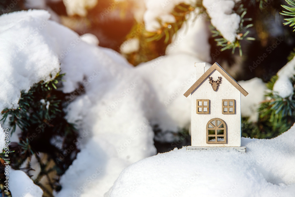 symbol of the house stands on a snow-covered fir branches
symbol of the house stands on a snow-covered fir branches