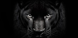 Front view of Panther isolated on black background. Black and white portrait of panther. Predator series. digital art