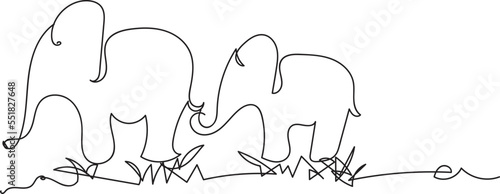 Hand drawn elephant outline illustration
