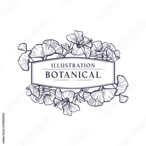 Hand drawn botanical floral frame, vector illustration