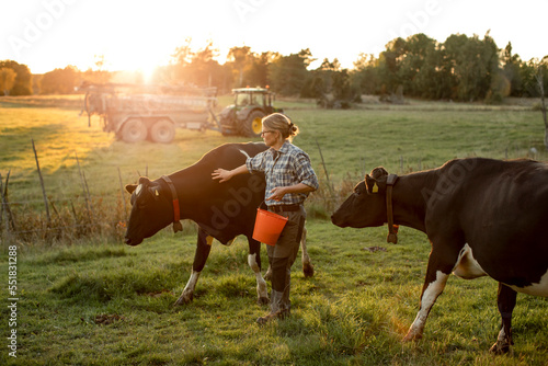 Female farmer with cows on field at sunset photo