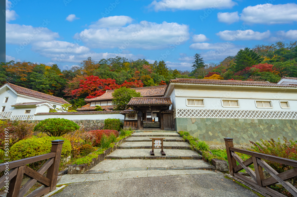 山陰の小京都　秋の奥津和野　堀庭園の紅葉 島根県