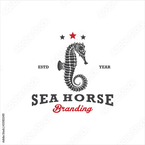 Seahorse Logo Design Stock Vector Image