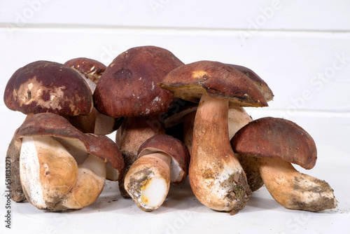 Introducing freshly picked whole porcini mushrooms
