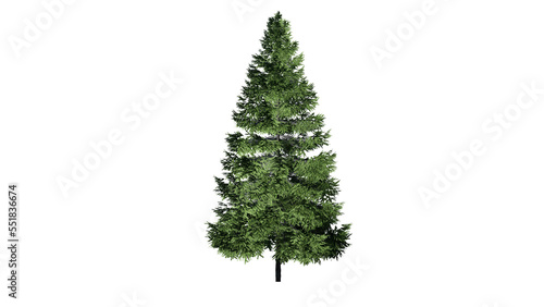 3D Christmas Trees Isolated on PNGs transparent background , Use for visualization in architectural design or garden decorate	
