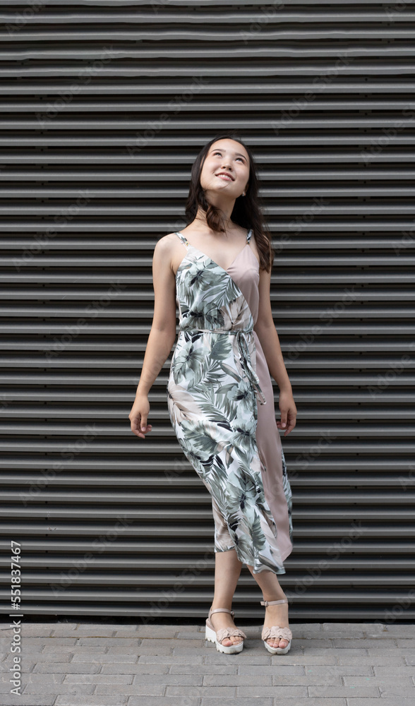 Beautiful asian woman wearing dress, vertical. Style