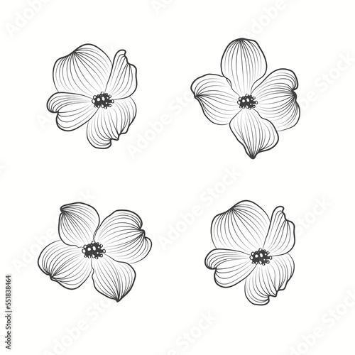 Hand drawn flower in floral style isolated on white background