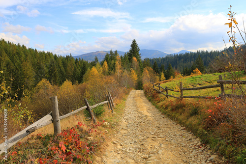 mountain road in Carpathians