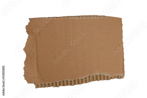 Textured cardboard with torn edges isolated on white