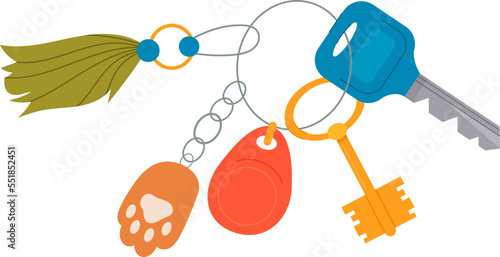 Pet paw and feather accessories for keys flat icon