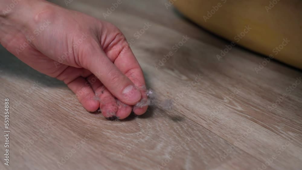 Man hands Dust with brush and dustpan, Housekeeping concept. Trash sweeping. Man hands Dust with brush and dustpan, Housekeeping concept. Trash sweeping.
