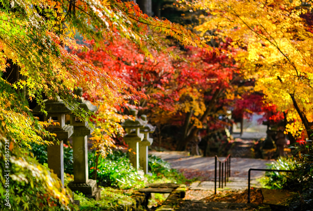 清水寺 紅葉