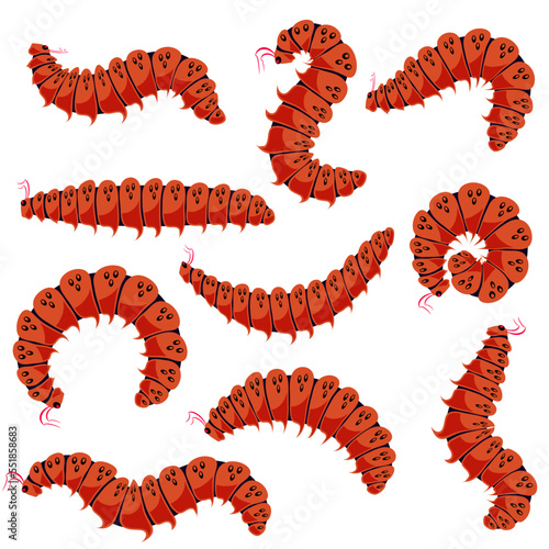 Red Cartoon Caterpillars Isolated on White Background. Cute Summer Insects. Small Maggot Move. Butterfly Life Cycle.