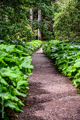 Weg, Pfad im botanischen Garten Inverewe Garden, bei Poolewe, Achnasheen, Highland, Schottland 